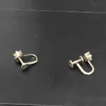pt900　ピアス